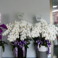 喪禮蘭花A_弘曜花藝版權所有