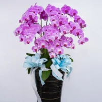 喪禮蘭花J_弘曜花藝版權所有