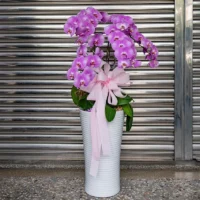 喪禮蘭花L_弘曜花藝版權所有