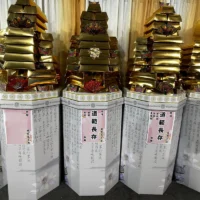 豪華白蓮心經金磚塔-2