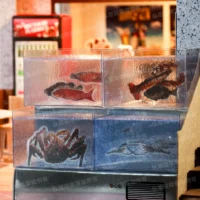 紙紮上介青熱炒店-6